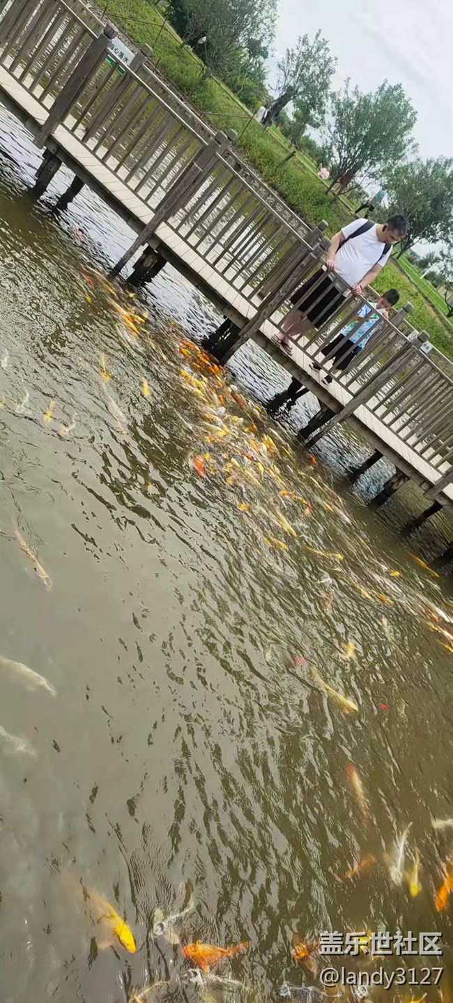 6.20-沈陽星部落稻夢空間一日游