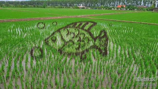 沈陽星部落稻夢空間線下攝影活動回顧
