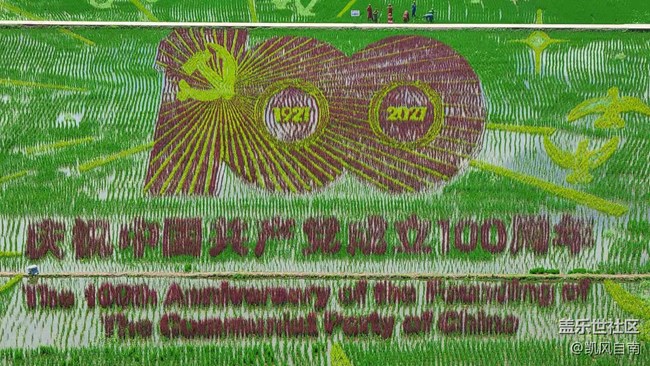 沈陽星部落稻夢空間線下攝影活動回顧