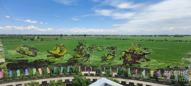 6.20-沈陽星部落稻夢空間一日游