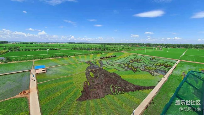 沈陽星部落稻夢空間線下攝影活動回顧