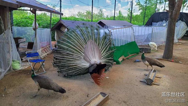 沈陽星部落稻夢空間線下攝影活動回顧