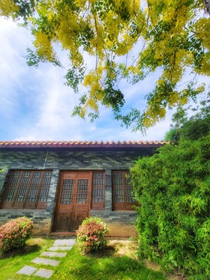 【春去夏猶清】+臘腸花下好乘涼