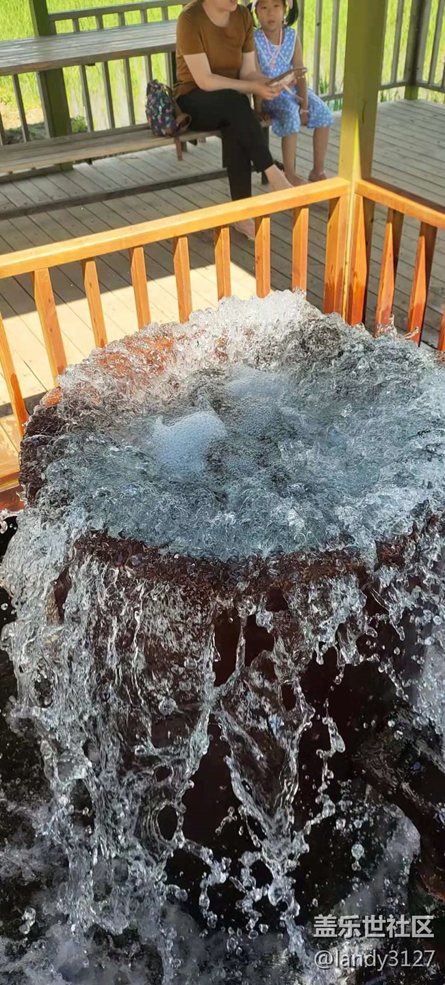 6.20-沈陽星部落稻夢空間一日游