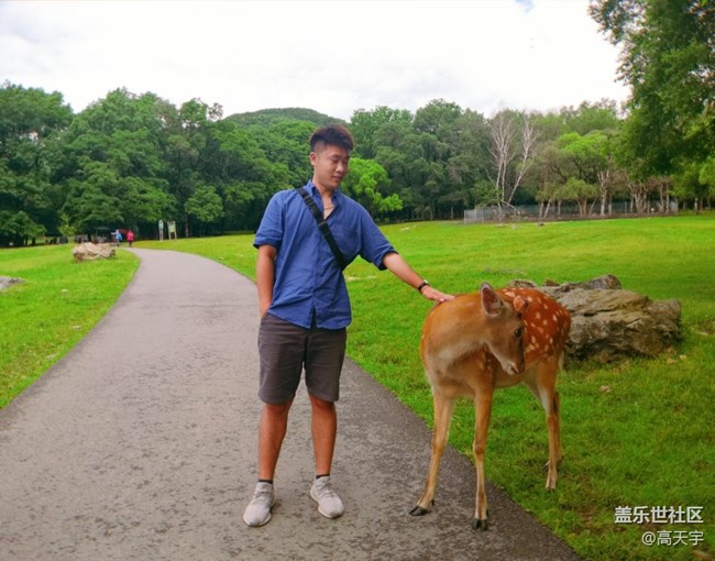 三星蓋樂(lè)世森工平山神鹿攝影