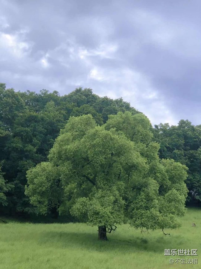 平山鹿苑攝影活動(dòng)回顧貼
