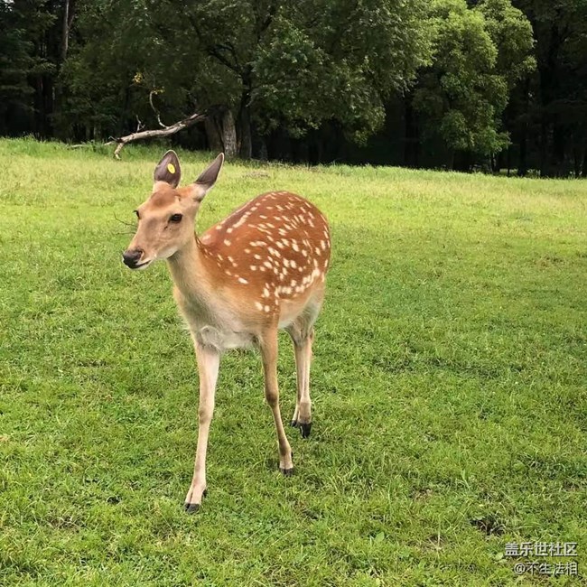 平山鹿苑攝影活動(dòng)回顧貼