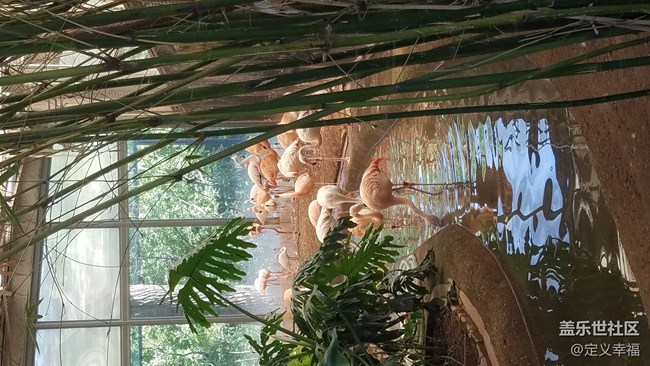 #北京網(wǎng)紅打卡地——北京動(dòng)物園