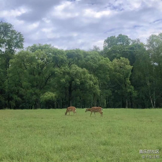 平山鹿苑攝影活動(dòng)回顧貼