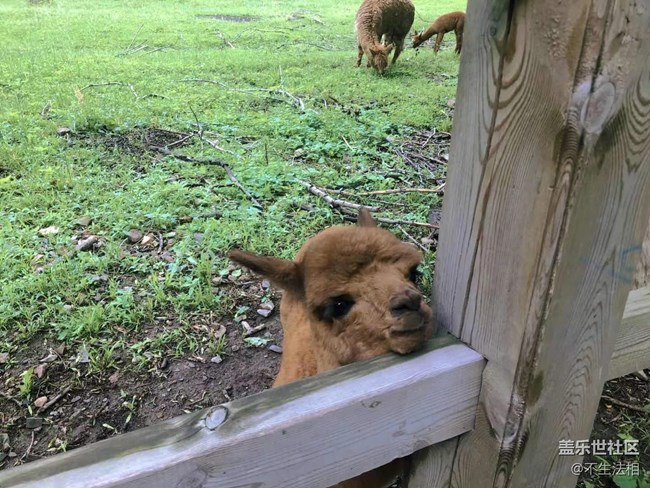 平山鹿苑攝影活動(dòng)回顧貼