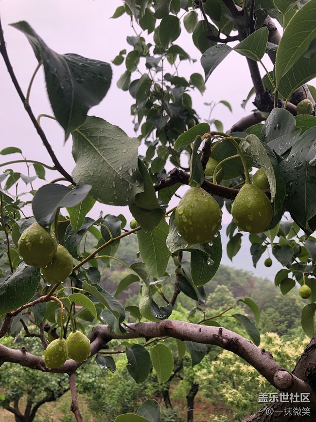 北京網(wǎng)紅打卡地——丫髻山