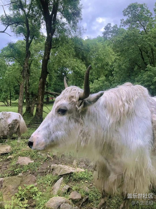 平山鹿苑攝影活動(dòng)回顧貼