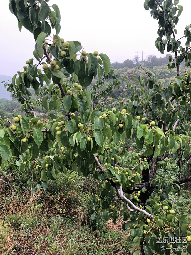 北京網(wǎng)紅打卡地——丫髻山