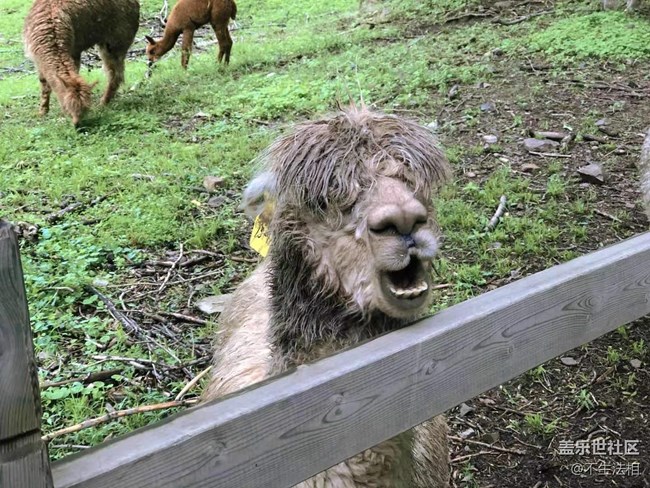 平山鹿苑攝影活動(dòng)回顧貼