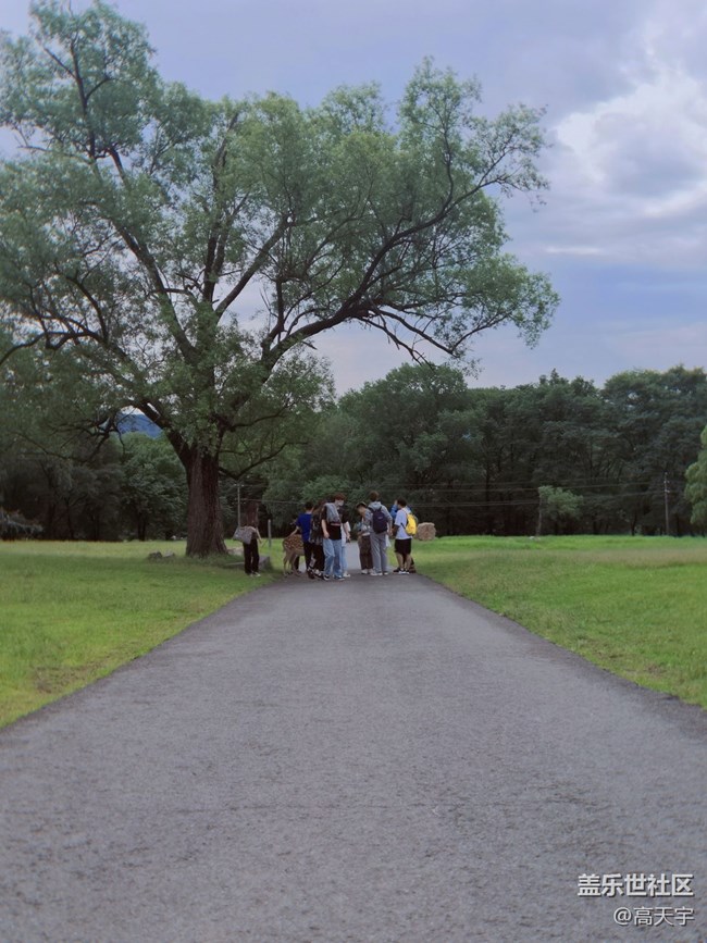 三星蓋樂(lè)世森工平山神鹿攝影
