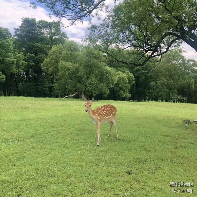 平山鹿苑攝影活動(dòng)回顧貼