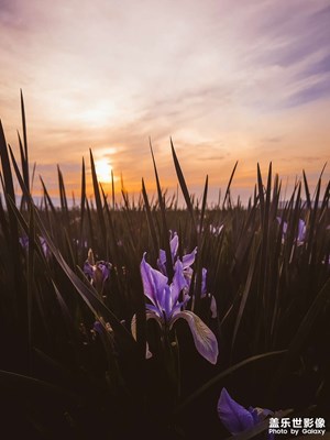 夕陽西下