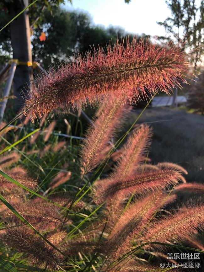 #部落大挑戰(zhàn)#+“春色大挑戰(zhàn)”