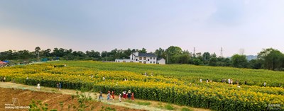 【留住精彩】+追日