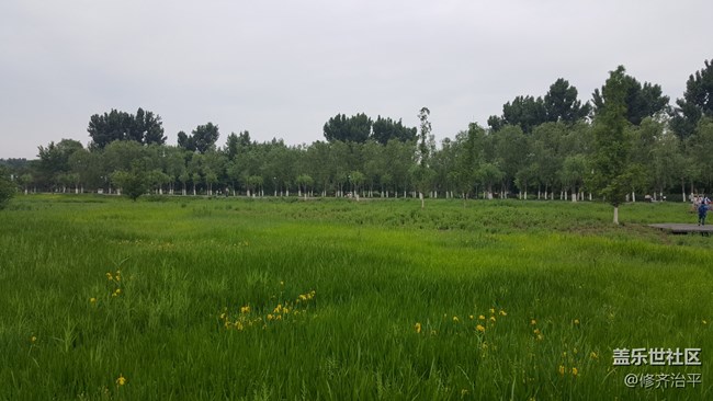 #北京網(wǎng)紅打卡地——大運(yùn)河通州森林公園