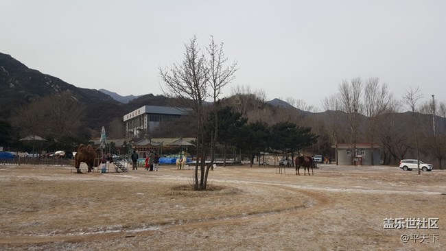 #北京網(wǎng)紅打卡地——北京八達(dá)嶺野生動(dòng)物世界