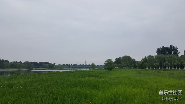 #北京網(wǎng)紅打卡地——大運(yùn)河通州森林公園