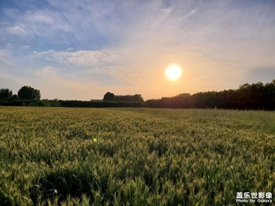 【留住精彩】+ 6月隨拍
