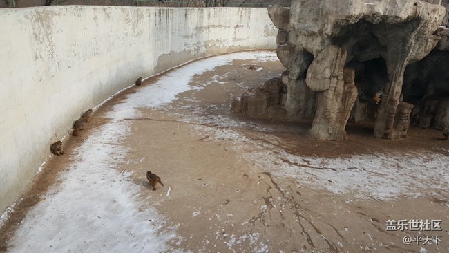 #北京網(wǎng)紅打卡地——北京八達(dá)嶺野生動(dòng)物世界