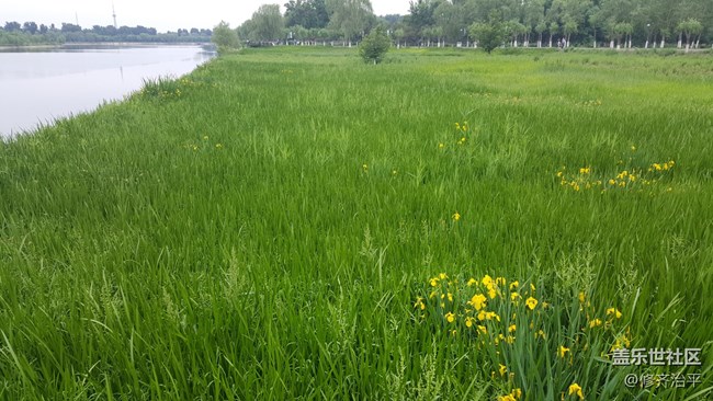 #北京網(wǎng)紅打卡地——大運(yùn)河通州森林公園