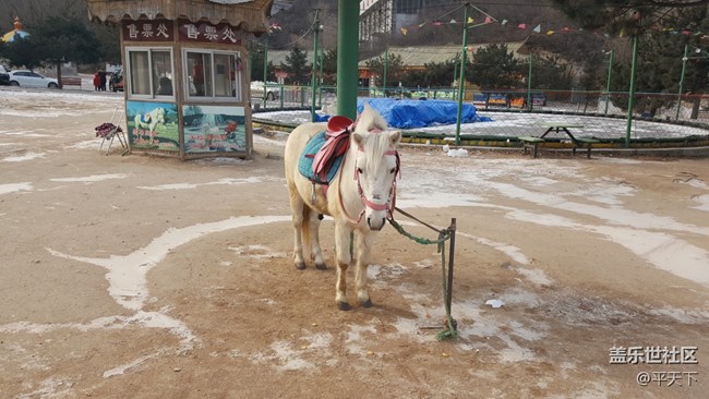 #北京網(wǎng)紅打卡地——北京八達(dá)嶺野生動(dòng)物世界