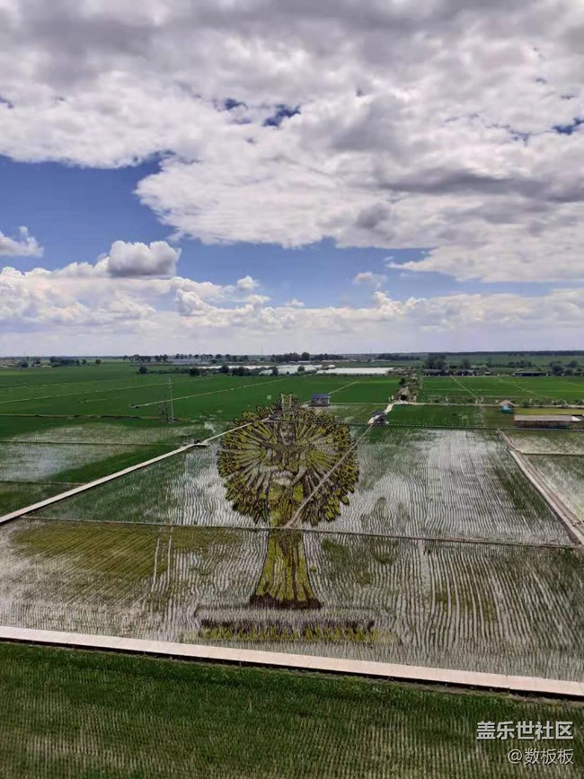 沈陽(yáng)星部落2021年線下游玩攝影活動(dòng)回顧貼