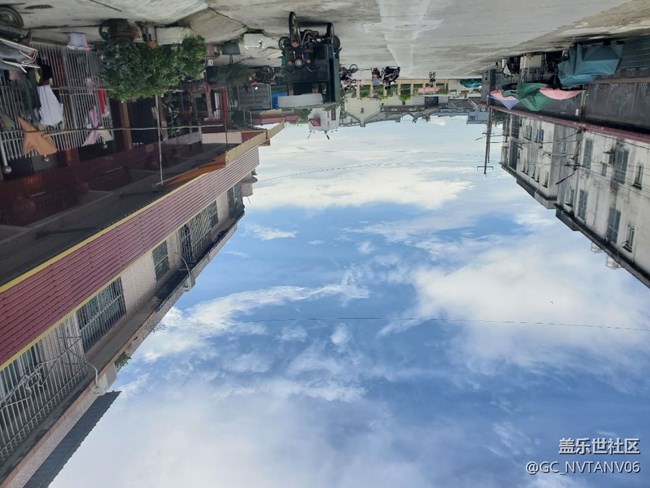 note10+最近拍的照片