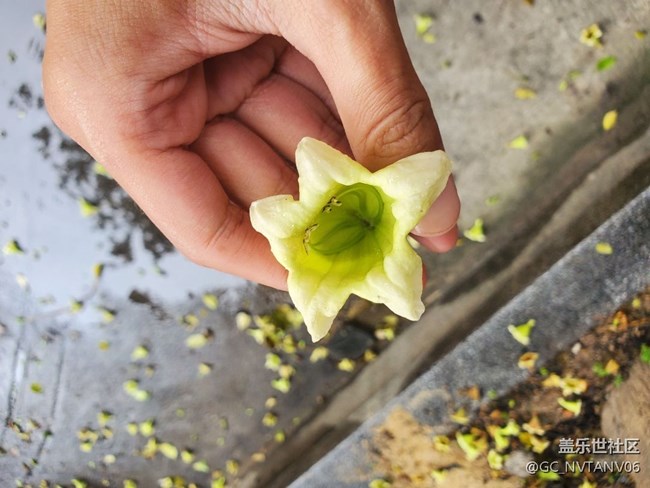 note10+最近拍的照片