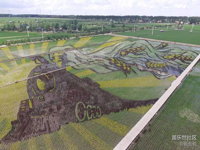 沈陽(yáng)星部落2021年線下游玩攝影活動(dòng)回顧貼