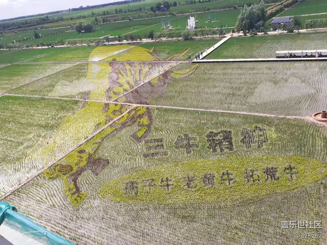 沈陽(yáng)星部落2021年線下游玩攝影活動(dòng)回顧貼