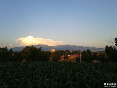 【留住精彩】+黃梅夏日之云