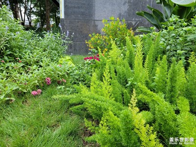 街邊公園