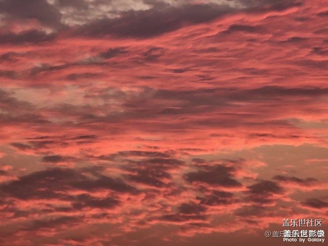 《每周星鮮事》 第71期
