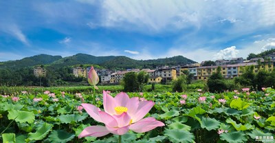 日暮酒醒人已遠 滿天風(fēng)雨下西樓