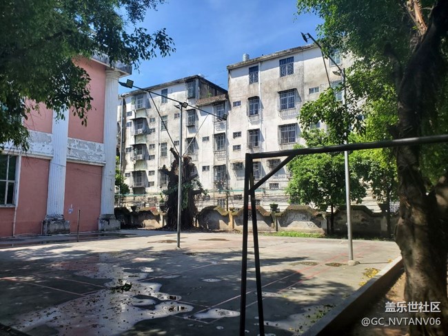 note10+風(fēng)景照