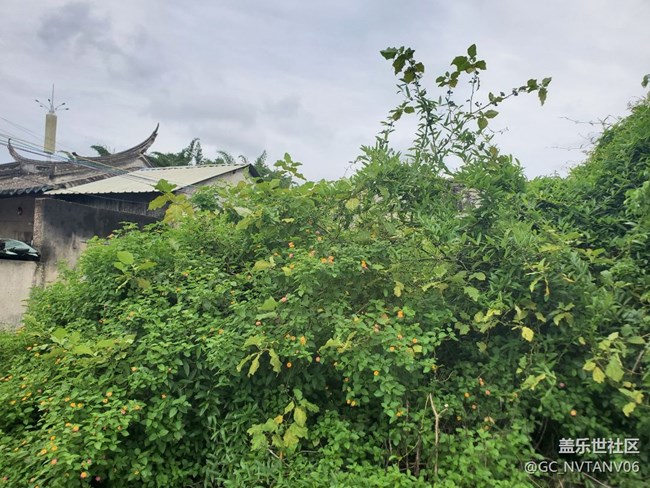 note10+風(fēng)景照