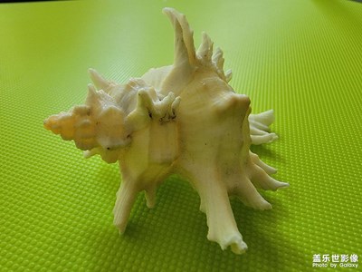 純粹是好看啊，沒別的意思