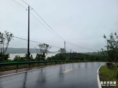 雨中隨拍