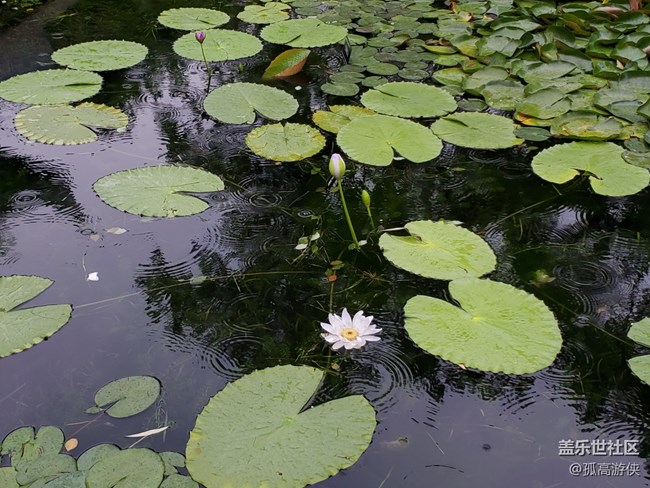 已開獎七月第二期A板塊活動——用一句話描述夏日的雨
