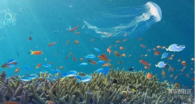 【已開獎】沈陽星部落海洋探索攝影活動招募啦！??！