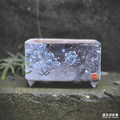 剪一影煙雨江南，畫幾筆花開半夏