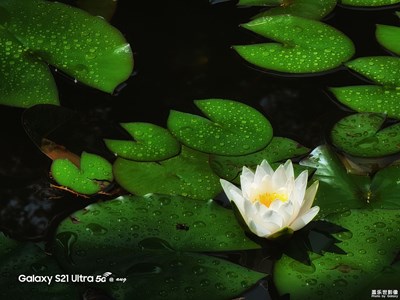 Galaxy S21 Ultra 5G 夏暑