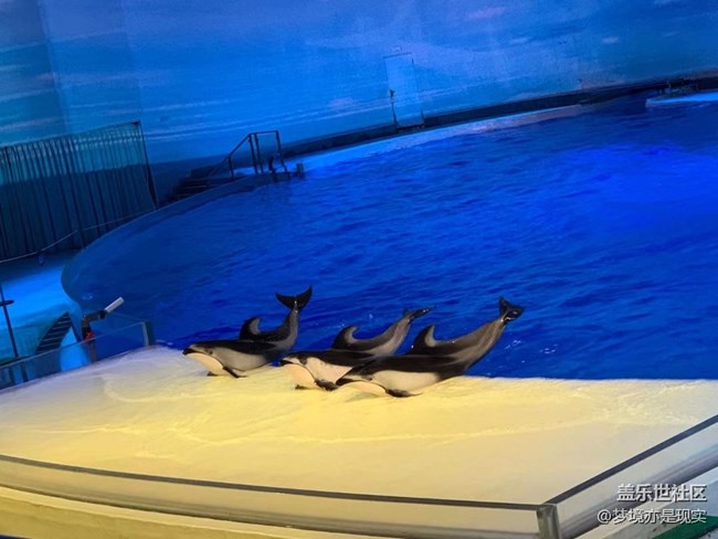 【這里是】＋上海海昌海洋公園