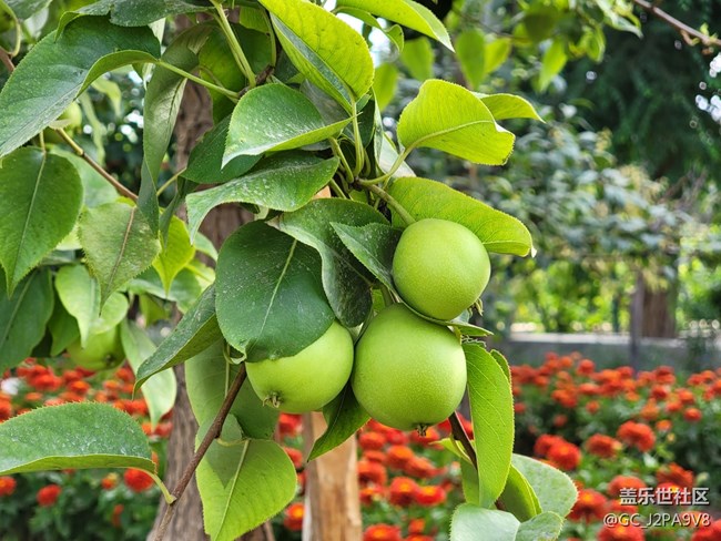 三星S21U，隨拍幾張！祖國的大好河山。。。。。