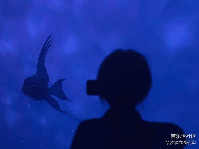 【這里是】＋上海海昌海洋公園